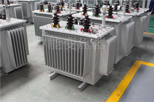 忻州S22-250KVA/10KV变压器